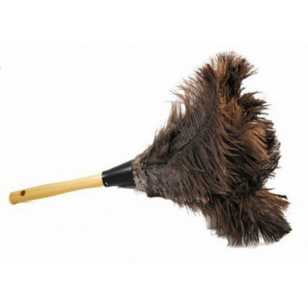 feather duster